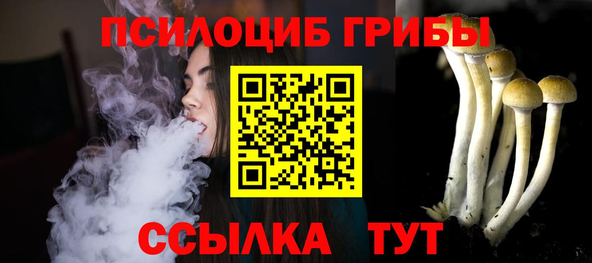 Псилоцибиновые грибы Cubensis Лабинск