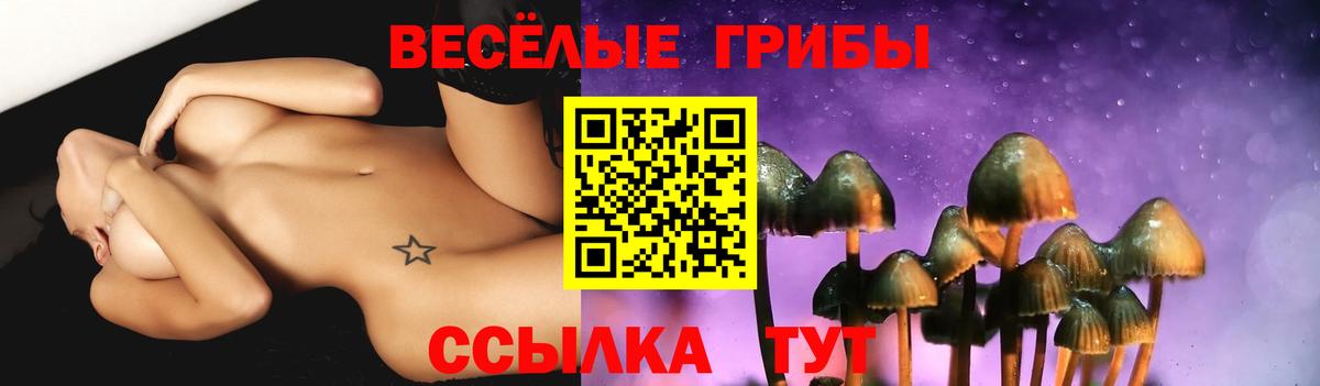 как найти наркотики  Галлюциногенные грибы Cubensis  Псилоцибиновые грибы Psilocybine cubensis  Вход с VPN  Лабинск 
